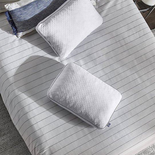 Sealy Memory Foam Standard Pillow