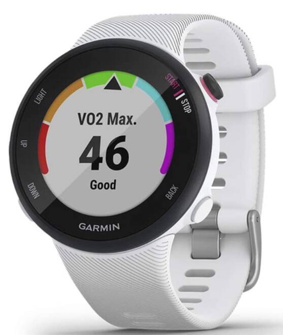 Garmin Forerunner 45S GPS Running Smartwatch