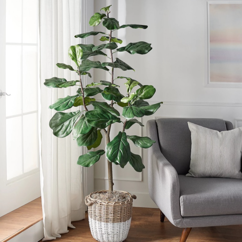 Artificial 6' Fiddle Leaf Tree