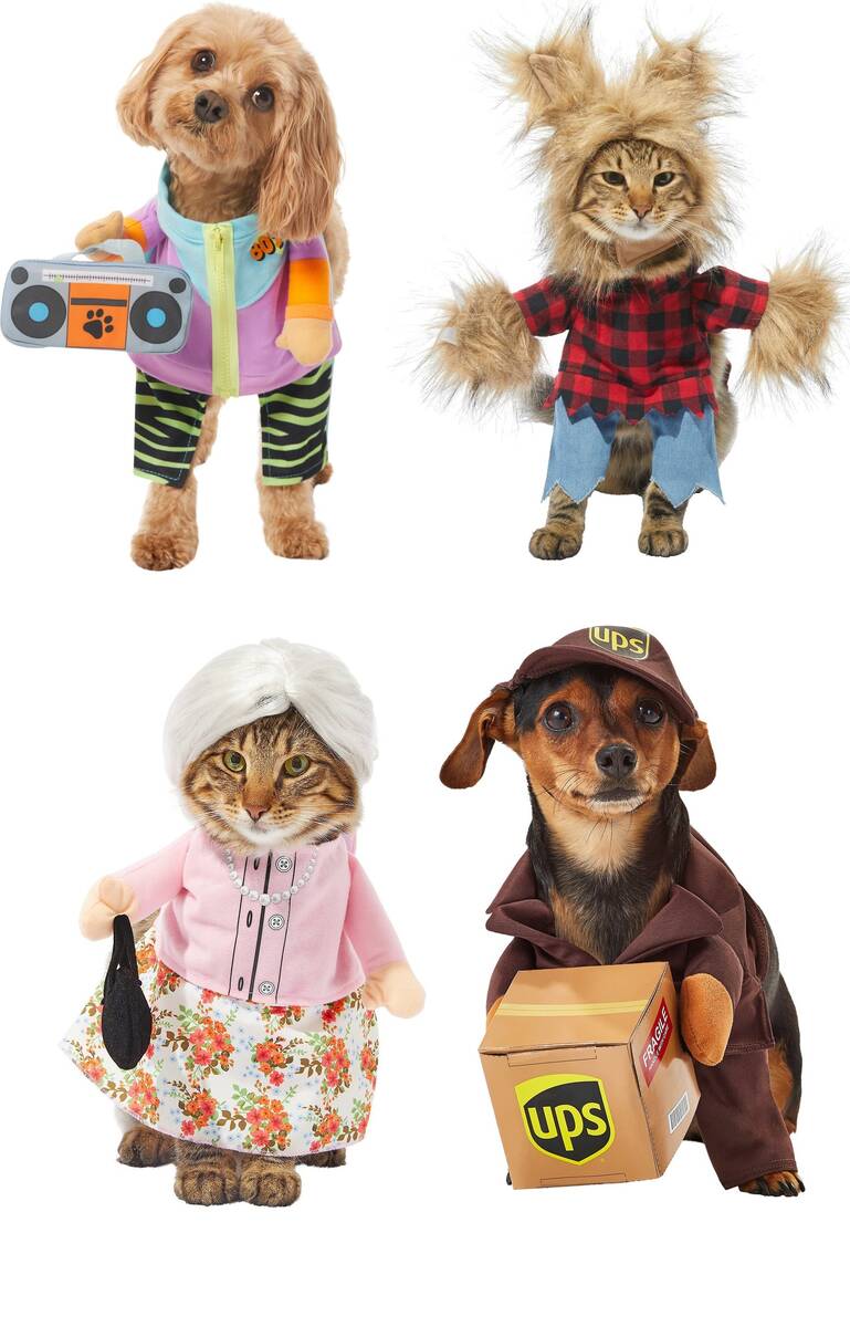 Halloween Pet Costumes @Chewy