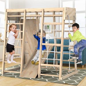 Indoor 6-in-1 Jungle Gym Climber Playset