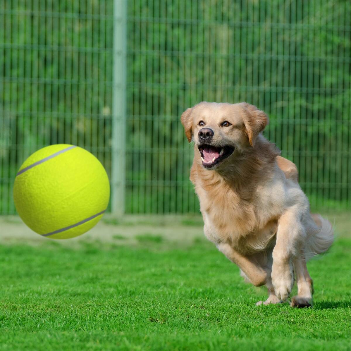 Super Jumbo 9.5'' Tennis Ball