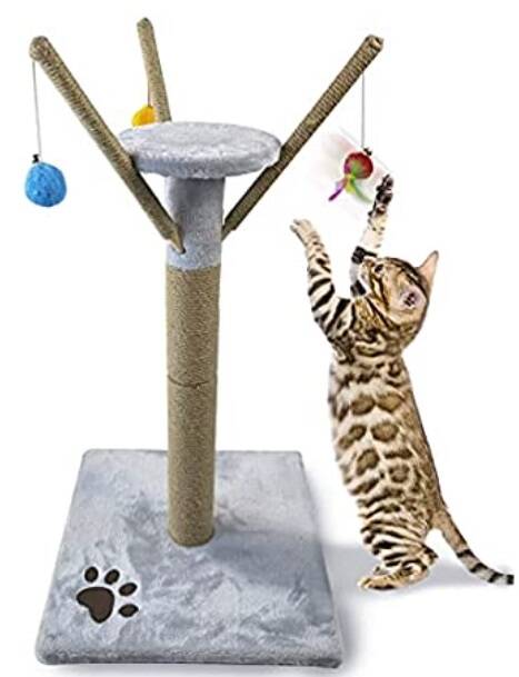 Cat Scratching Post Tree