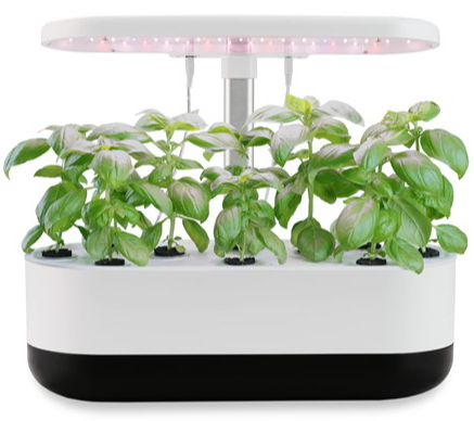 Lagute Hydroponics Growing System