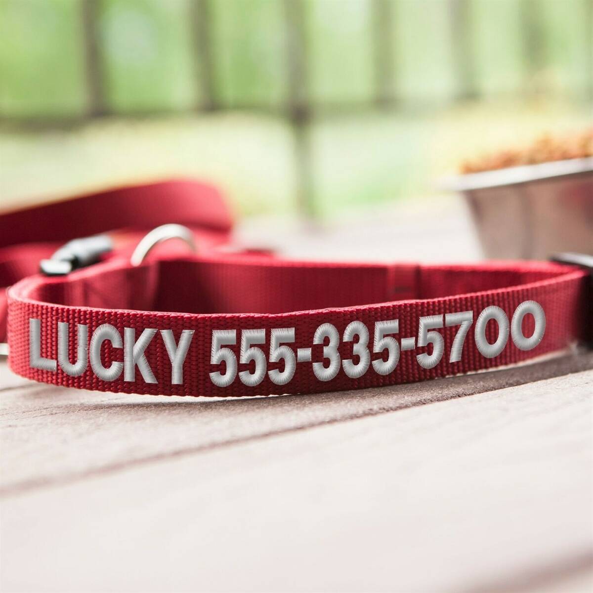 Personalized Dog Collars