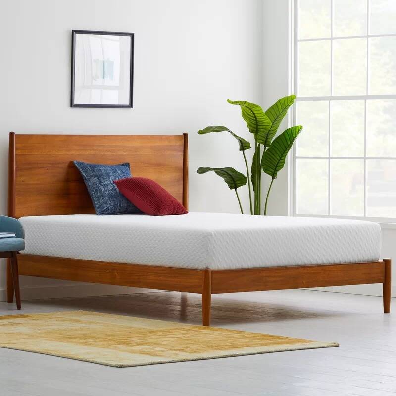 Wayfair Sleep 10