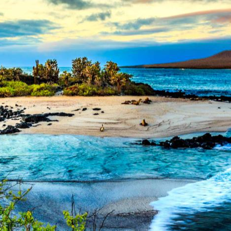 Ecuador & Galapagos Islands: 6-Night, Small-Group Tour