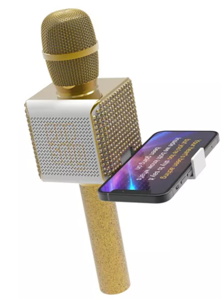 Pop Solo Bluetooth Karaoke Microphone