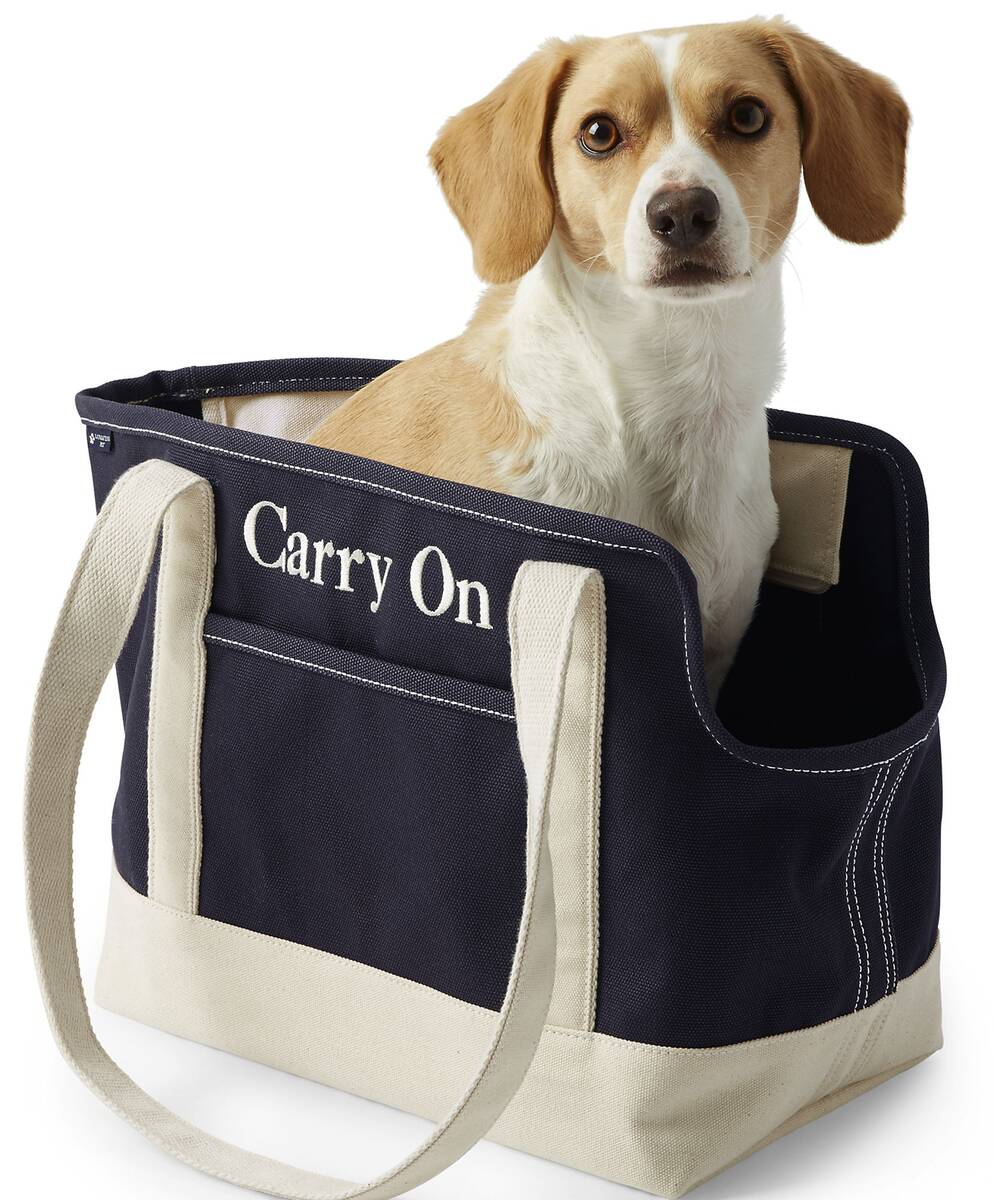 Lands' End Canvas Tote Pet Carrier