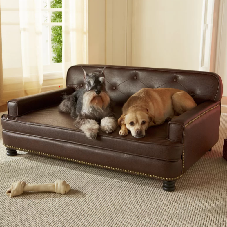 Tufted Nailhead Pet Sofa