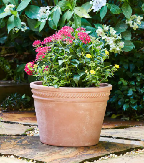 Terracotta 14Qt. Clay Planter