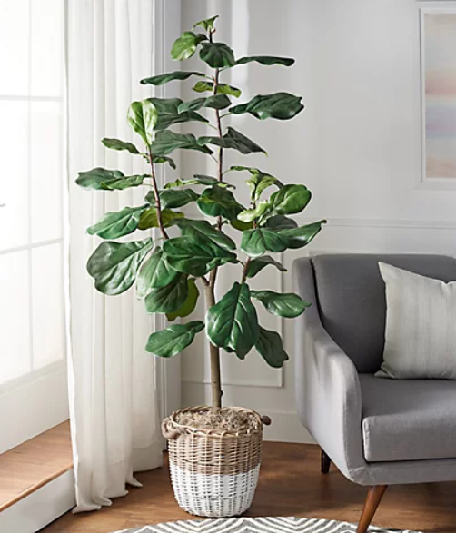 Artificial 6' Fiddle Leaf Tree