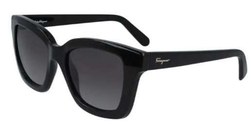 Salvatore Ferragamo 53mm Sunglasses