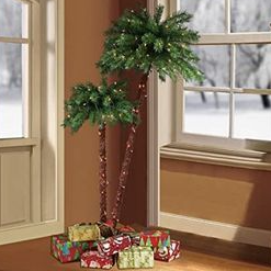 Pre-Lit 3.5' & 6' Christmas Palm Tree