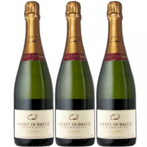 3-Bottles Cottet Dubreuil French Champagne