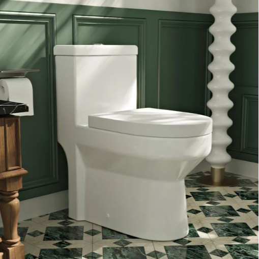 Dual-Flush Elongated One-Piece Toilet