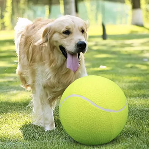 Pets Giant Tennis Ball