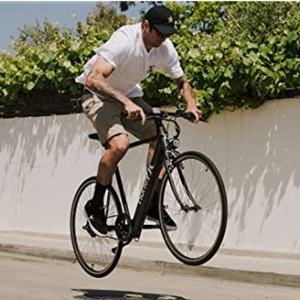 Hurley 20mph Single Speed eBike