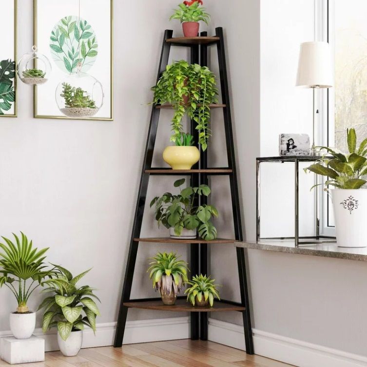 5-Tier Corner Bookcase