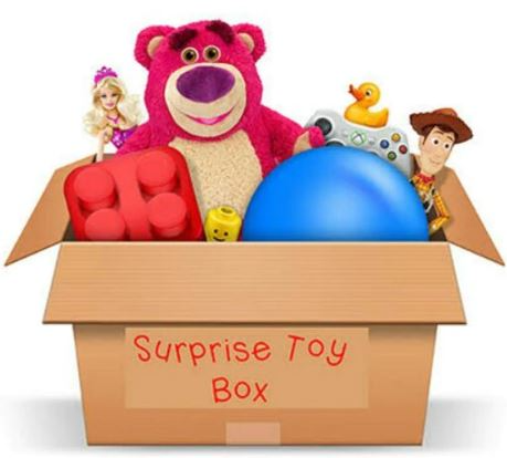 Surprise Mystery Toy Box