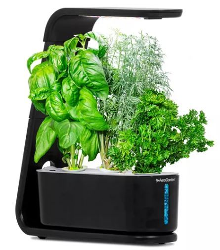 AeroGarden Sprout Countertop Garden Kit