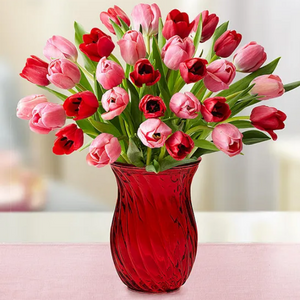 30-Stem Tulip Bouquet