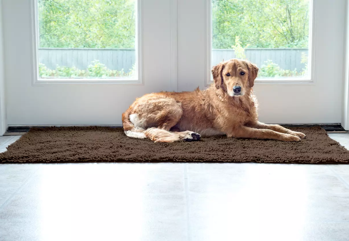 Quick-Dry Pet Rug / Towel