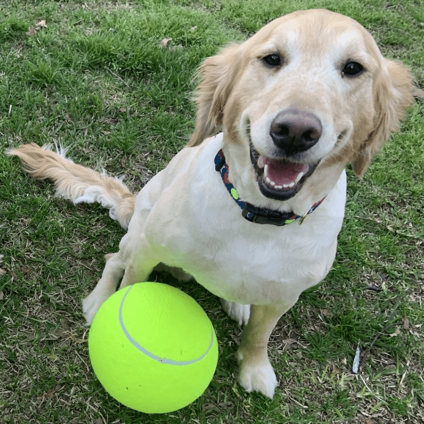 Jumbo Tennis Ball