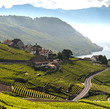 Zurich to Lake Como: 7-Nt Switzerland & Italy Tour, Incl. Lake Geneva, w/Meals & Excursions