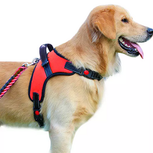 Adjustable Dog Vest Harness