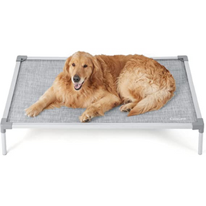 Elevated Large Dog Bed