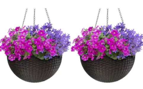 Set of 2 Self-Watering Hanging Baskets