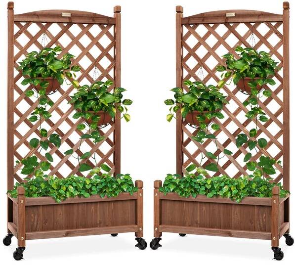 2-Pack Wood Planter Box & Lattice Trellis