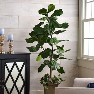 5' Faux Fiddle Leaf Tree