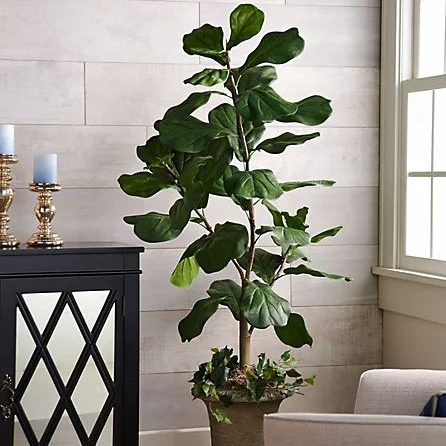 5' Faux Fiddle Leaf Tree