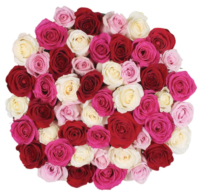 Mother's Day 50-Stem Quad Color Roses