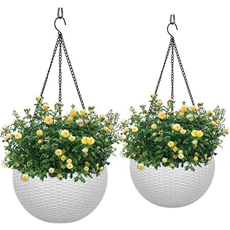 Set of 2 Self-Watering Hanging Planter Baskets