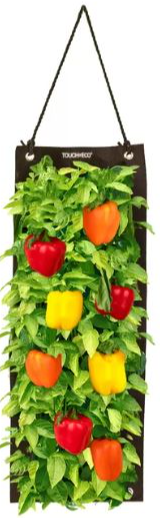 Organic Hanging Sweet Pepper Growing Kit