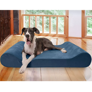 Memory Foam Orthopedic Pet Lounger