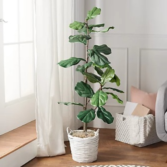 Faux Fiddle 4' Leaf Tree