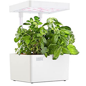 Hydroponic Indoor Grow Kit w/Organic Seeds