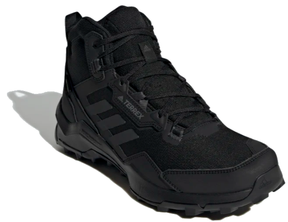 Adidas Men's Terrex Gore-Tex Hiking Shoes