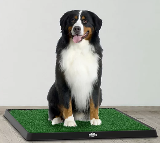 Pet Potty Trainer Gras Pad