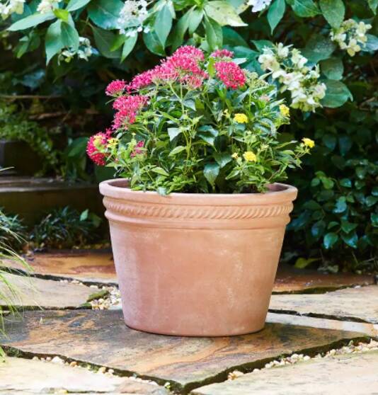 Large Terracotta Clay Planter