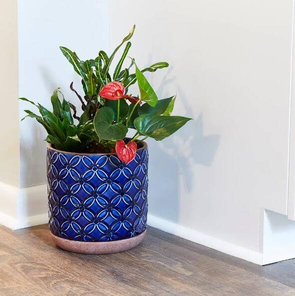 Blue Ceramic Indoor Pot