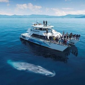 New Zealand: 20-Night Self-Drive Tour w/Air, Rental Car, Whale Watching Cruise & More