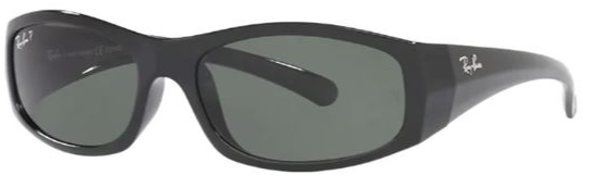 Ray-Ban Men's Polarized Sunglasses