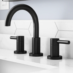 Allen + Roth 2-Handle Bathroom Sink Faucet w/ Drain