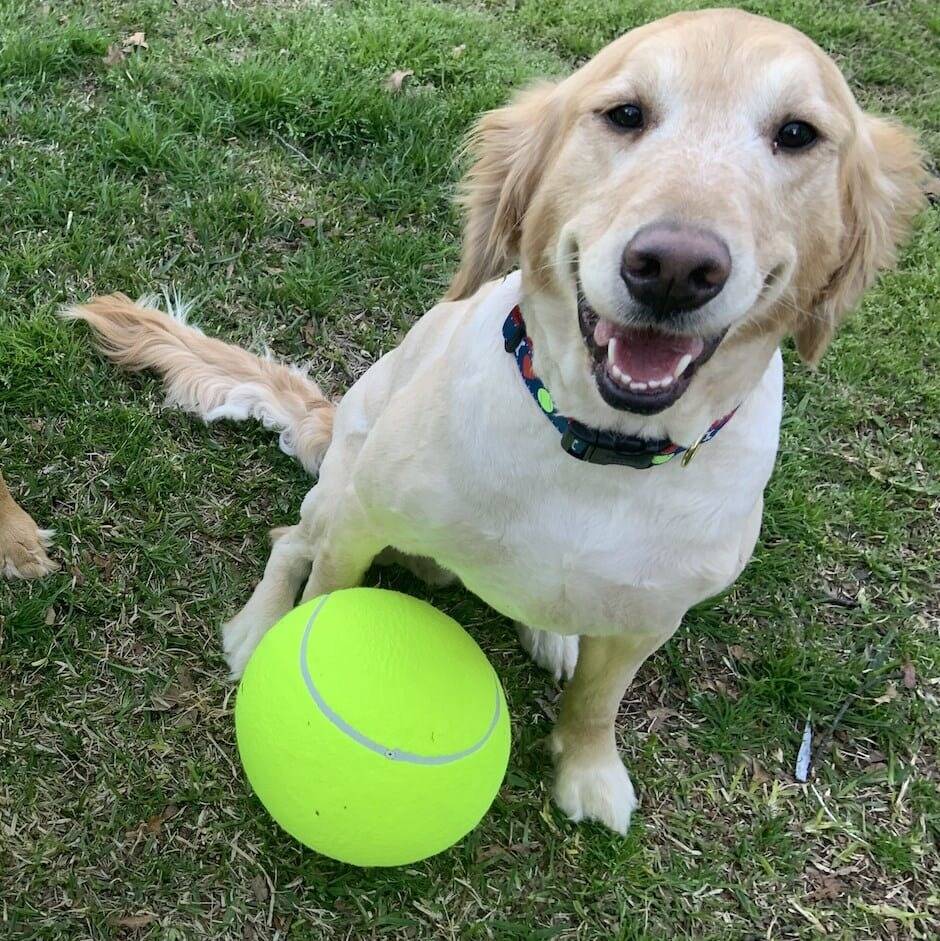 Jumbo Tennis Ball