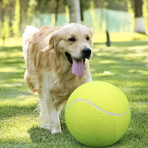 Pets Giant Tennis Ball